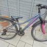 2 adult bikes Image 7