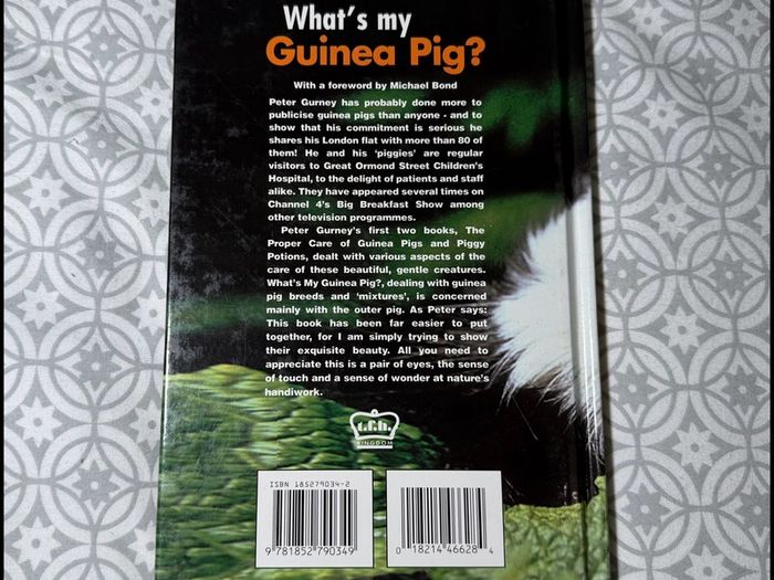 What's my Guinea Pig? A Guide to Guinea Pig Breeds
