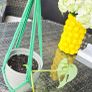 Monstera adansonii - Monkey Image 2