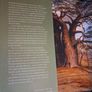 Thomas Pakenham / The Remarkable Baobab / 2004 Image 4