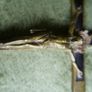 Antique 7"  Crosses - Crucifix Image 8