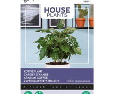 (C) Buzzy Coffee seeds Arabica 2.5g (840114)