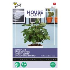 (C) Buzzy Coffee seeds Arabica 2.5g (840114)