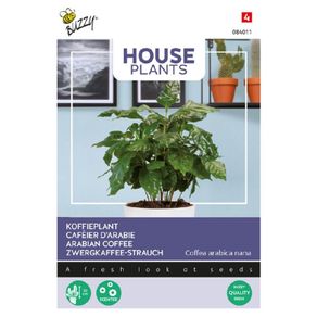 (C) Buzzy Coffee seeds Arabica 2.5g (840114)