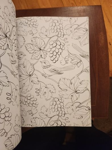 The Flowers And Nature Colouring Book.  Large Volume Paperback In Good Condition.