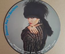 Siouxsie and the Banshees interview picture disc