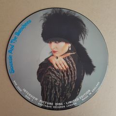 Siouxsie and the Banshees interview picture disc