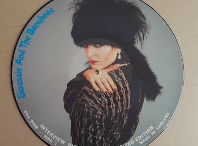 Siouxsie and the Banshees interview picture disc