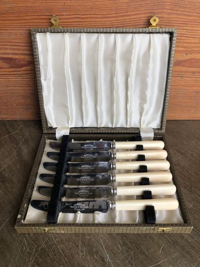 Vintage Set Of 6 Newbridge Table Knives