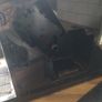 Melitta purista 300 Image 6