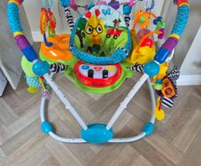 Baby einstein jumperoo