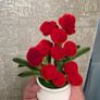 hand made pipe cleaners flowers Image 3
