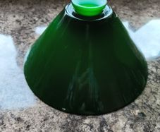 Antique Lamp Shades (Reduced to sell)