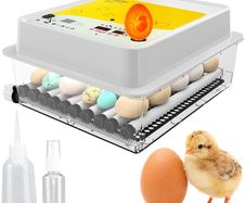 36 Egg Incubators for Hatching Eggs  Incubator for 36 eggs with automatic egg turner:READY FOR COLLECTION