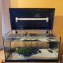Aquarium with pump and plants Image 2