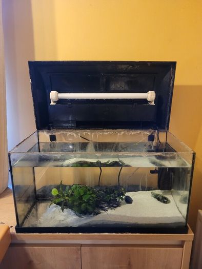 Aquarium with pump and plants