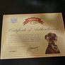 RARE  1st Edition Aleksandr Meerkat Toy BNIB Image 7