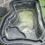 Pond Image 2