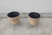 plant pot
