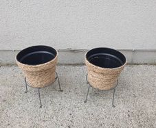 plant pot
