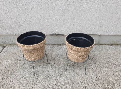 plant pot