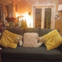FREE 3 seater couch
