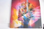 PINK -Hurts 2B Human (2xVinyl LP 2019)