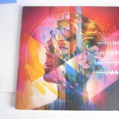 PINK -Hurts 2B Human (2xVinyl LP 2019)