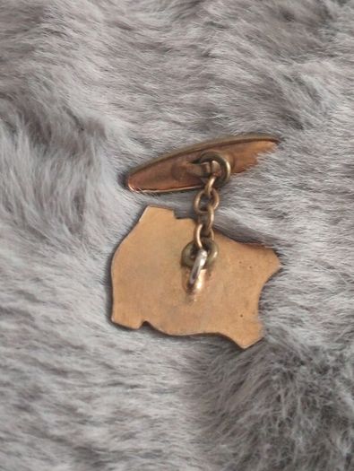 clothes pin badge vintage