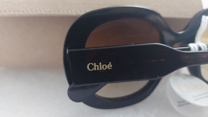 An Unrivalled Investment in High Fashion  The Chloe Gayia