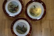 3 Lightwood &amp; Sons Decorative Plates