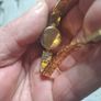 Vintage mechanical Ladies Swiss working watches Image 9