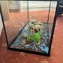Aquarium Image 2