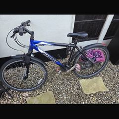 giant
