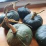 Winter Squash 'Buttercup' Irish Seeds Image 3