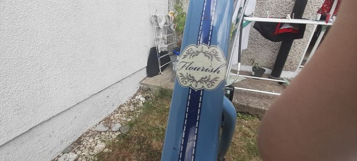 Ladies bike