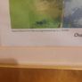 coll Image 4