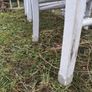 Dining chairs Image 4