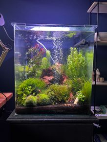 Amtra Nanotank 60L Glass Aquarium