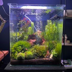 Amtra Nanotank 60L Glass Aquarium