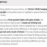 Ceiling Light Fixture (EZ Living) Image 2
