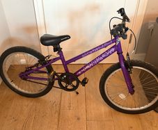 Apollo girls bike