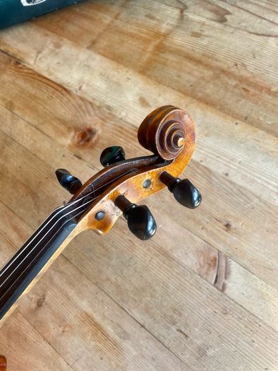 Violin