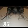 Vintage Porsche 911 912 VDO Gauge Cluster  Triple Pod Image 2