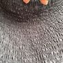 Brand  new  Zara dress Image 4