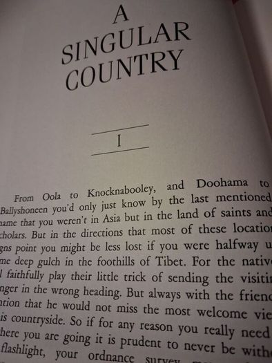 J. P. Donleavy / A Singular Country / 1st edition / 1989