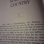 J. P. Donleavy / A Singular Country / 1st edition / 1989 Image 9