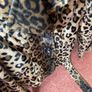 Leopard Print Jacket Image 2