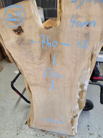 Live Edge Sycamore slab