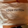 Louis Vuitton Image 3